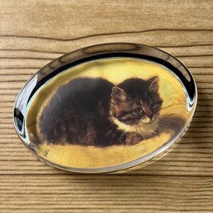 Brown Kitten Kitty Cat Vintage Heavy Oval 1” Glass Paperweight With Soft Backing